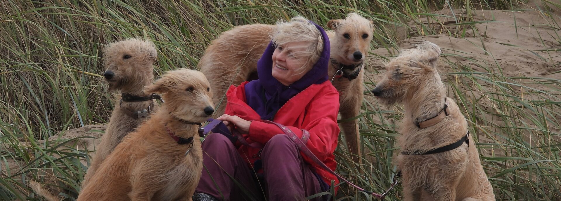 woman with four dogs on a windswept beach